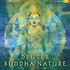 Buddha Nature Audio CD Buddha Nature Audio CD
