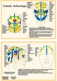 Craniale Reflexologie Craniale Reflexologie