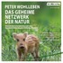 Das geheime Netzwerk der Natur, 6 Audio-CDs Das geheime Netzwerk der Natur, 6 Audio-CDs