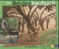 Das Weidenbaubuch Das Weidenbaubuch