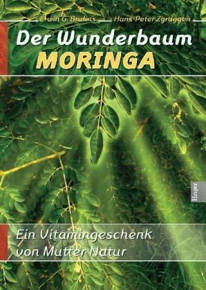 Der Wunderbaum Moringa Der Wunderbaum Moringa