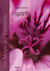 Die Magie der Elemente - Band 5: Spirit Die Magie der Elemente - Band 5: Spirit