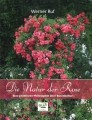 Die Natur der Rose