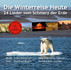 Die Winterreise Heute - Audio-CD Die Winterreise Heute - Audio-CD