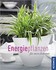 Energiepflanzen für mein Zuhause Energiepflanzen für mein Zuhause