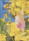 Stein und Blüte