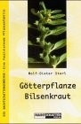 Götterpflanze Bilsenkraut Götterpflanze Bilsenkraut