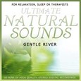 Gentle River Audio CD Gentle River Audio CD
