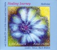 Healing Journey - Heilreise, m. 2 Audio-CDs