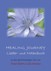 Healing Journey Healing Journey