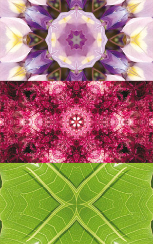 Imagami-EnergieMotiv Strahlung Imagami-EnergieMotiv Strahlung