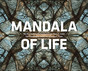 Mandala of Life Mandala of Life