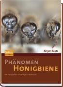 Phänomen Honigbiene Phänomen Honigbiene