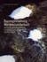 Raumgestaltung - Mythenlandschaft Raumgestaltung - Mythenlandschaft