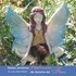 Reines sinnliches Vertrauen - Die Sprache der Feen Audio CD Reines sinnliches Vertrauen - Die Sprache der Feen Audio CD
