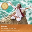 Removing Obstacles - Audio-CD