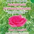 Schöpferische Herzkommunikation Audio CD Schöpferische Herzkommunikation Audio CD
