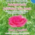 Schöpferische Schönheit von Innen Audio CD Schöpferische Schönheit von Innen Audio CD