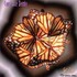 Set Free Audio CD Set Free Audio CD