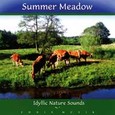 Summer Maedow Audio CD