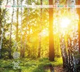 The Spirit of Trees (CD) The Spirit of Trees (CD)