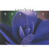 Touching Beauty Audio CD Touching Beauty Audio CD