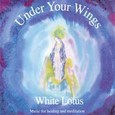 Under Your Wings Audio CD Under Your Wings Audio CD