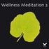 Wellness Meditation Vol. 2 Audio CD Wellness Meditation Vol. 2 Audio CD
