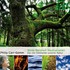 Wilde Weisheit Meditationen, 2 Audio-CDs Wilde Weisheit Meditationen, 2 Audio-CDs