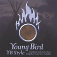 YB Style Audio CD