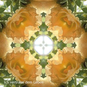 Vorschau 1
