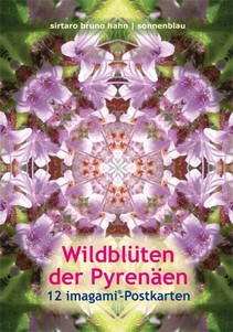 Wildblüten der Pyrenäen