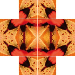 Beispiel 2