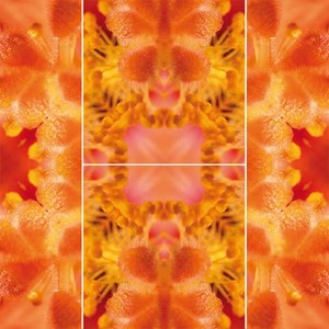 Beispiel 1