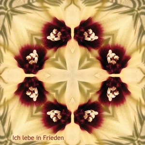 Vorschau 3