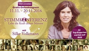 Stimmkonferenz