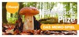 Einheimische Pilze – das Memo-Spiel Einheimische Pilze – das Memo-Spiel