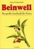 Beinwell