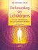 Die Entwicklung des Lichtkörpers