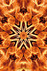 Fuss-Chakra - Element Feuer