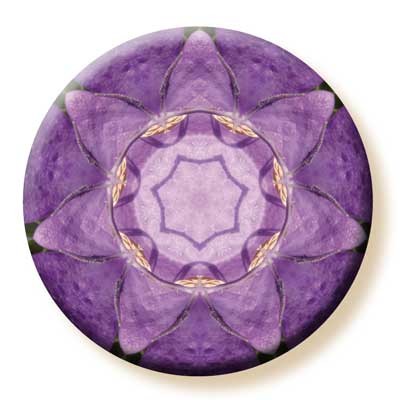 Imagami-Button Glockenblume