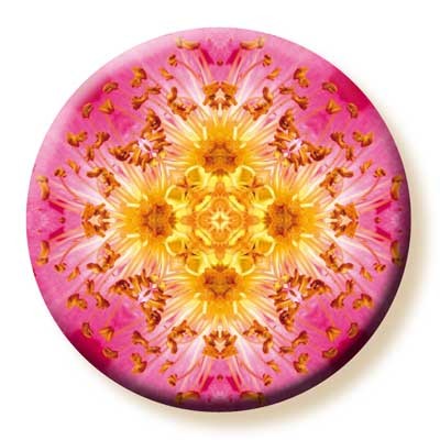 Imagami-Button Heckenrose