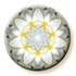 Imagami-Button Tempelblume