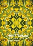 Imagami-Postkarten-Mappe Heilpflanzen (12 imagami Postkarten)