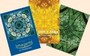 Imagami Postkarten Mappen-Set - 3 nach Ihrer Wahl