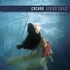 Indigo Child Audio CD