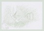 Logos Gradualis - Venus »Mondentaube« (Postkarte)