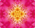 Imagami-Mousepad Heckenrose - Freude
