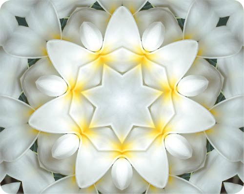 Imagami-Mousepad Tempelblume - Hingabe