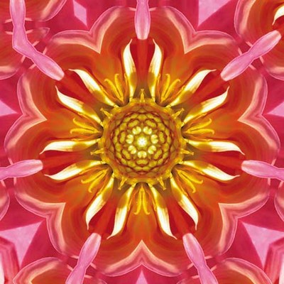 Paradieskarte "Dahlie"